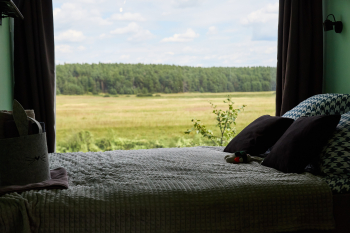 Морская капуста — фото 4