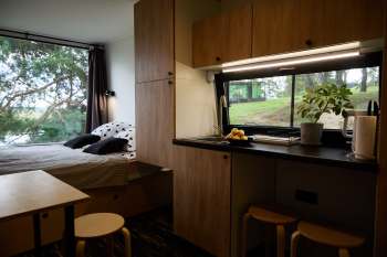 Белый медведь — фото 6