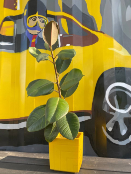 Желтая субмарина — фото 9