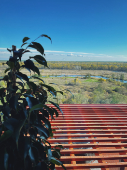 Домик на 4-х взрослых — фото 9