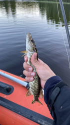 Водоем — фото 3