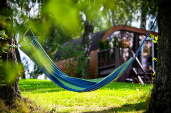 НОРА — фото 12