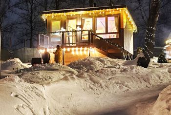 Гнездо — фото 1