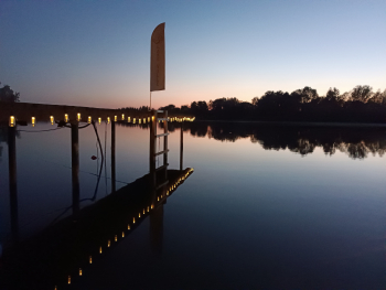 Гнездо — фото 4