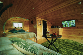 НОРА — фото 6