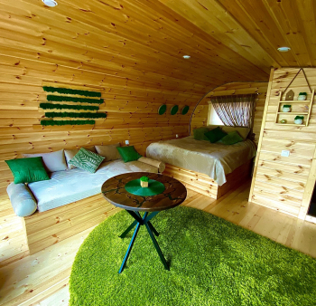 НОРА — фото 7