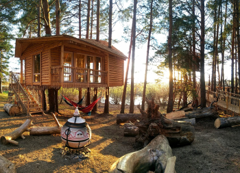 ТВОЙ ДОМИК на дереве — фото 1