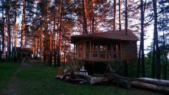 ТВОЙ ДОМИК на дереве — фото 7