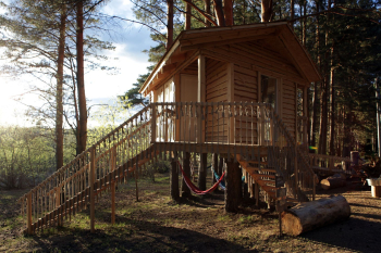 ТВОЙ ДОМИК на дереве — фото 6