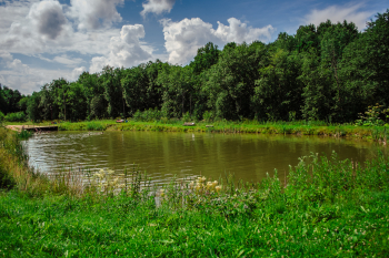 Коттедж стандартный с мангальной зоной — фото 11