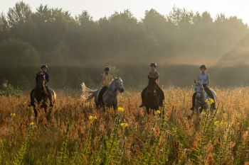 Двухместный голубой -эконом с двухспальной кроватью  — фото 3
