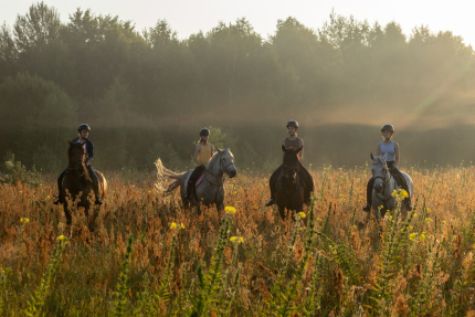 НиКиТа — фото