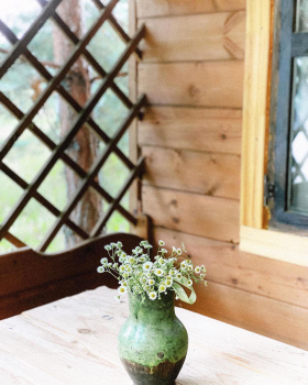 Изба  — фото 5