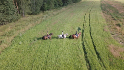 Конные прогулки — фото 1