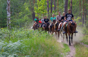 Двухместный голубой -эконом с двухспальной кроватью  — фото 7