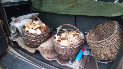 НиКиТа — фото