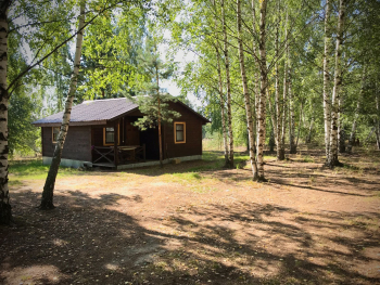 Лесной — фото 1