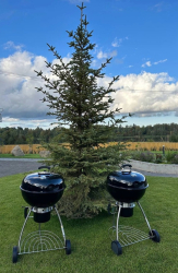 Мангальная зона — фото 1