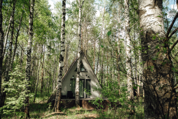 Лесной дом — фото 7