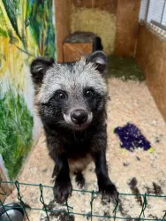 Ферма — фото 1