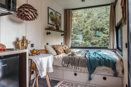 Шишка — фото