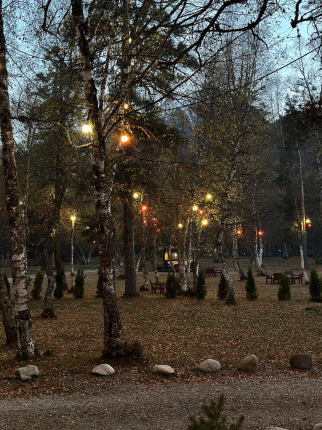 Sunshine House — фото