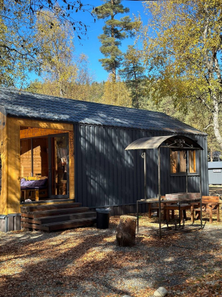 Sunshine House — фото