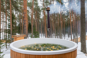 Лодж с террасой и купелью — фото 2