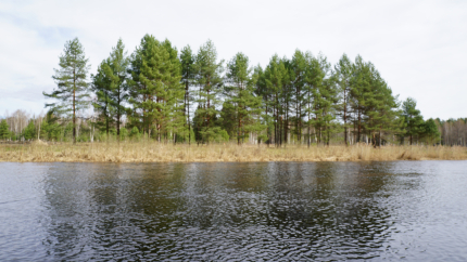 Orsha River Club — фото