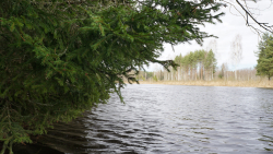 Водоем — фото 1