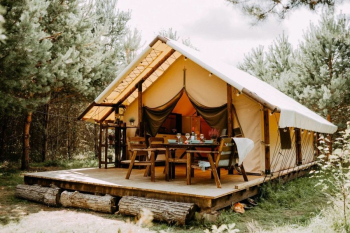 Хижина в лесу — фото 2