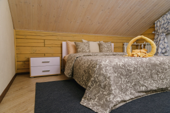 Апартаменты — фото 1