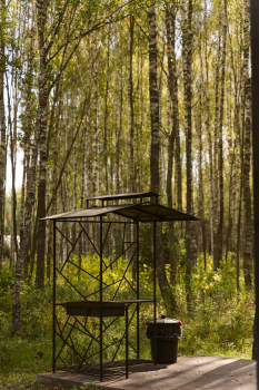 АВРОРА — фото 2