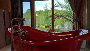 Пурпур — фото 1