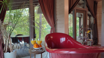 Пурпур — фото 2