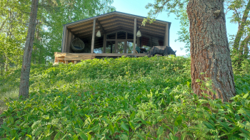 Пурпур — фото 23