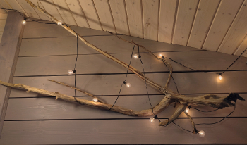 Верес — фото 11