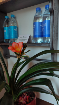 Верес — фото 19