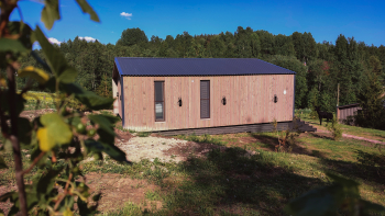 Винил — фото 2