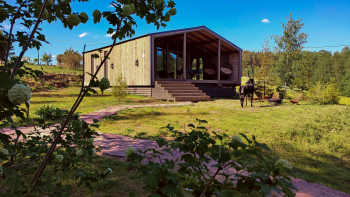 Винил — фото 1