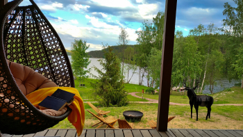 Винил — фото 15