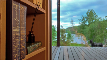 Винил — фото 16