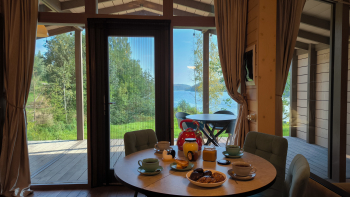 Гнездом — фото 8