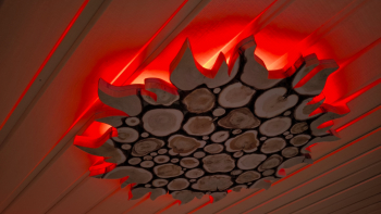 Гнездом — фото 2