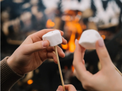 Костровая зона — фото 1