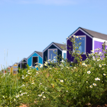 Фиолетовый домик  — фото 1