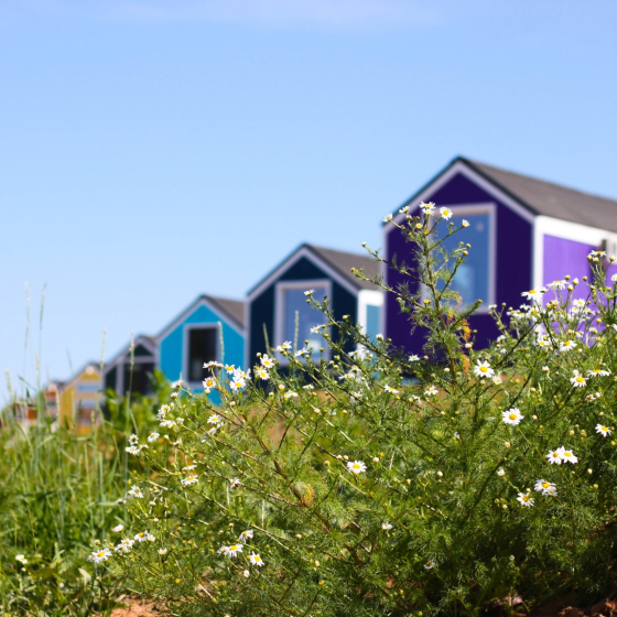 Территория отдыха "Лисья гора"