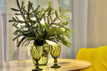 Панорама — фото 10