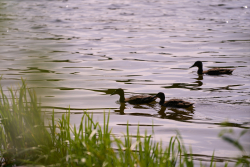 Рыбалка — фото 1