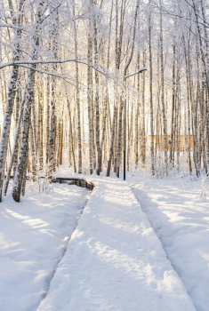 Мобильный дом — фото 12